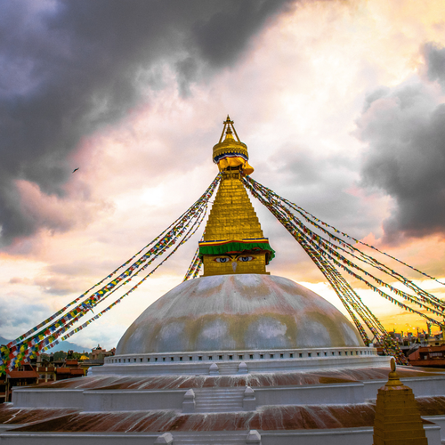 Untitled design1.png