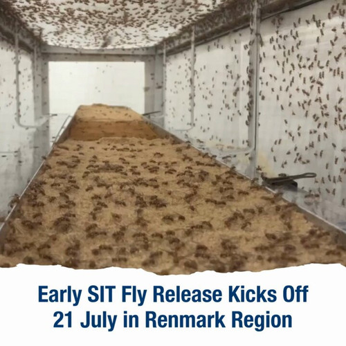 83WFuZdKmDdHMmH .jpg