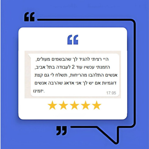 תמונה 2
