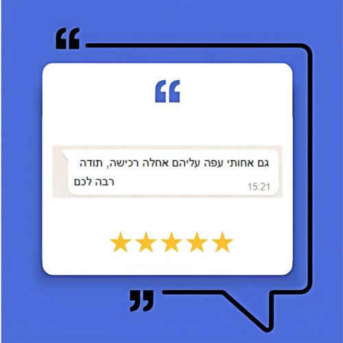 תמונה 9