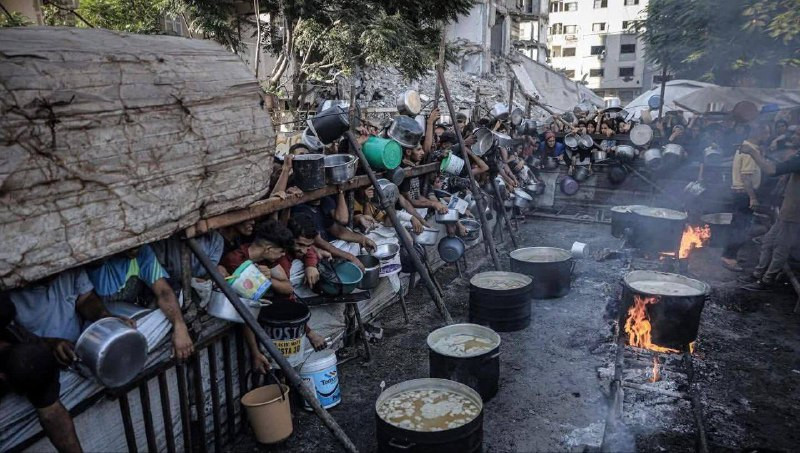 🔴 مركز الميزان لحقوق الإنسان: المدنيون يموتون جوعاً على الهواء... "إسرائيل" ترتكب أكبر جريمة تجويع وقتل جماعي في العصر الحديث أمام العالم الذي سقط أخل...