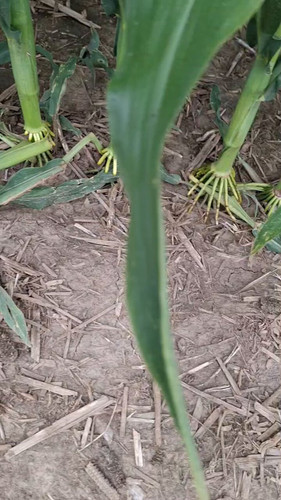 mH8WM5 N4faoGDxQ.jpg