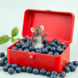 www.naked-ai.art - A red box of blue berries with a rat dancing inside