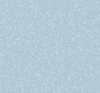 2.1.gif