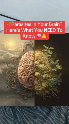 HudsTl LDpgojX4k.jpg