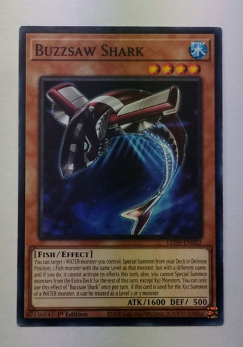 IMG 20250226 140223339.jpg