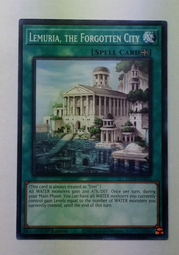 IMG 20250226 140239593.jpg