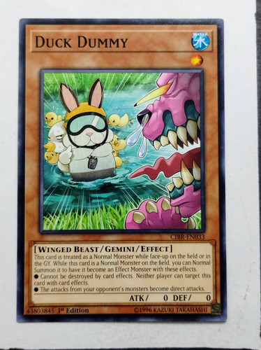 IMG 20250502 103252320.jpg