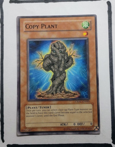 IMG 20250326 193410112.jpg