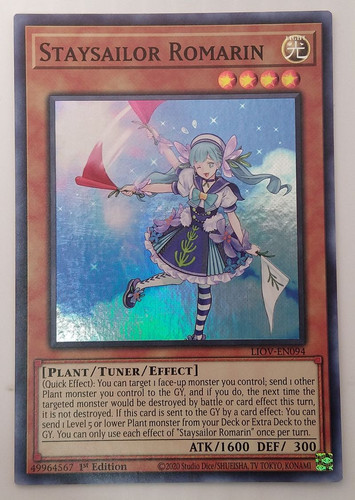 IMG 20240320 172415737.jpg