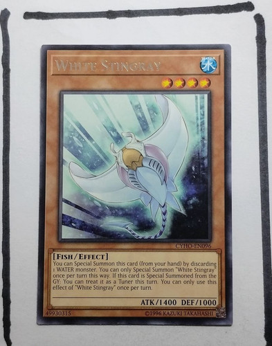 IMG 20250326 193900980.jpg