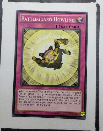 IMG 20250326 195654660.jpg