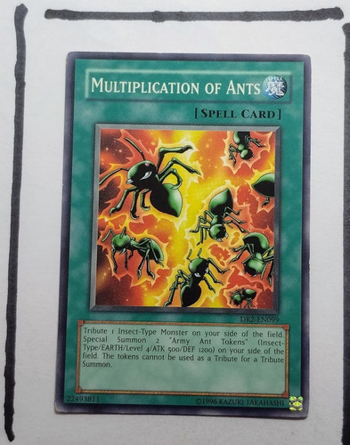 IMG 20250326 195255077.jpg