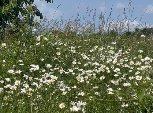 aGyxdAhB6zu2Zz Q.jpg