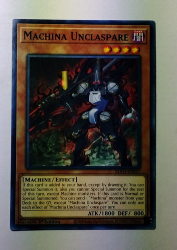 IMG 20250224 105716710.jpg