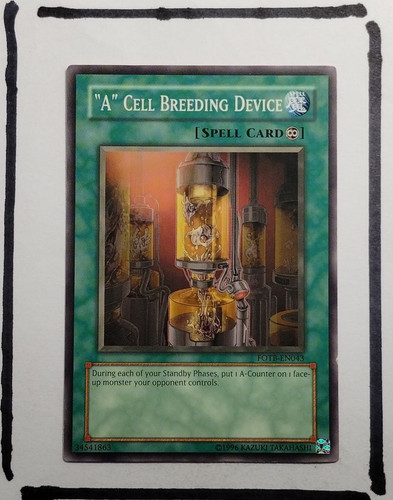 IMG 20250327 123448994.jpg