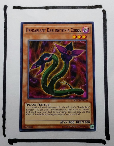 IMG 20250327 124552546.jpg