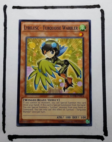 IMG 20250327 124621204.jpg