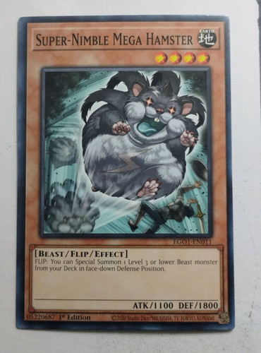 IMG 20250507 085717520.jpg