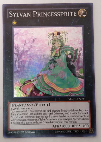 IMG 20240320 172608247.jpg