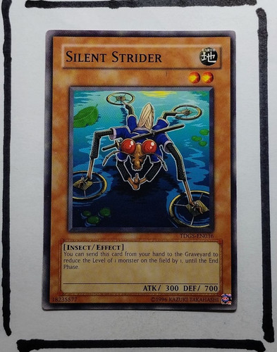 IMG 20250327 201015872.jpg