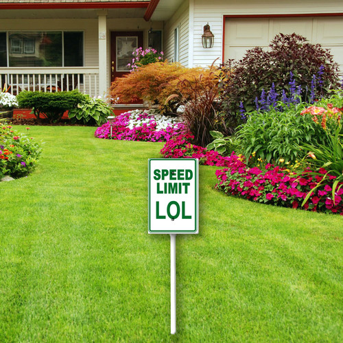 speed limit lol 4.jpg