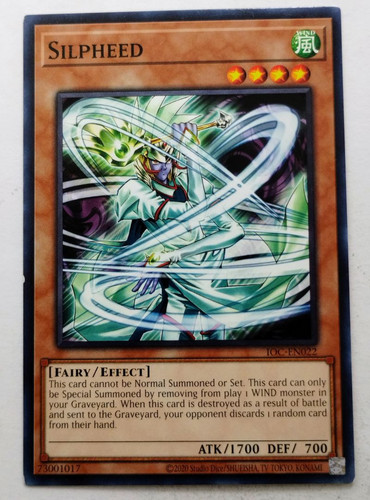 IMG 20250507 181115067.jpg