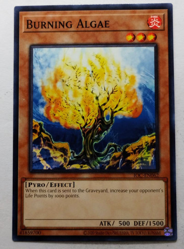 IMG 20250507 181157250.jpg