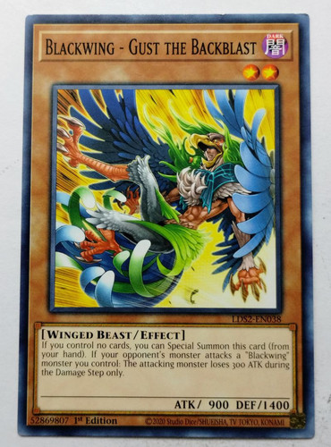 IMG 20250507 181408583.jpg