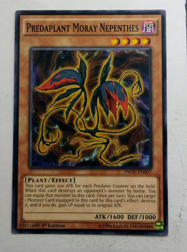 IMG 20250507 091453643.jpg