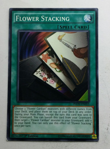 IMG 20250507 091916974.jpg