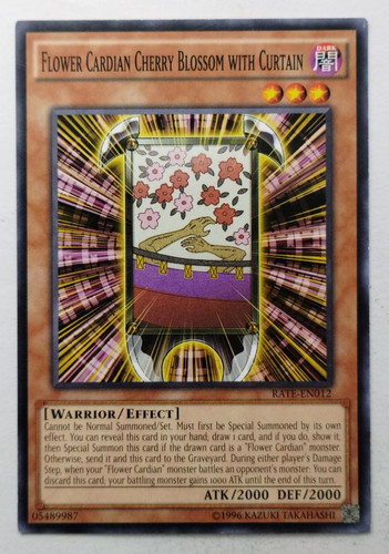 IMG 20250509 153351031.jpg