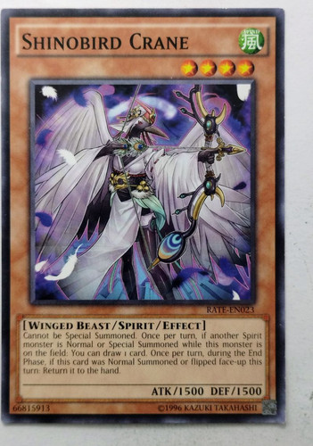 IMG 20250509 153450931.jpg