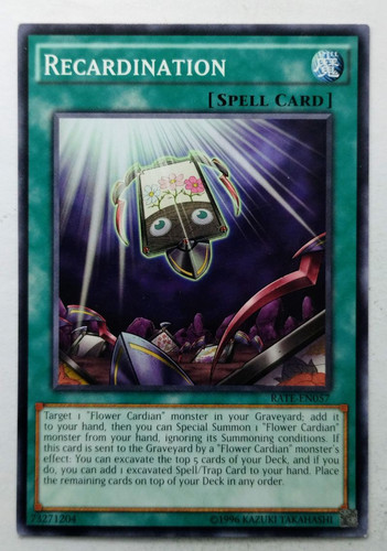 IMG 20250509 153719280.jpg