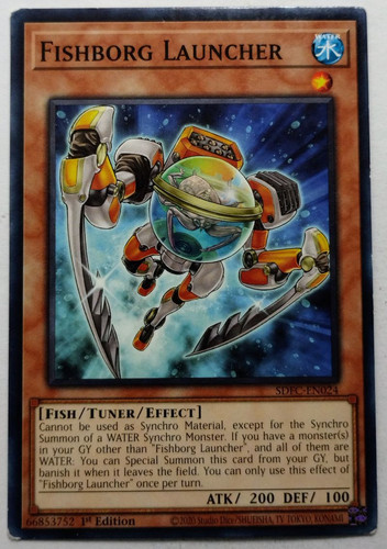 IMG 20250509 185345032.jpg