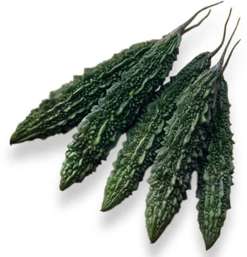700 palee hybrid bitter gourd ea.jpg