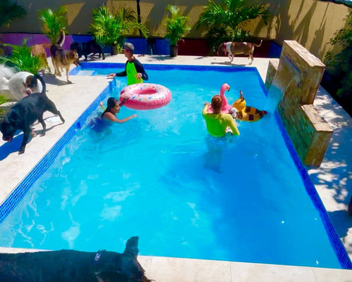 WhatsApp Image 2025 02 28 at 1.17.17 PM (1).jpg