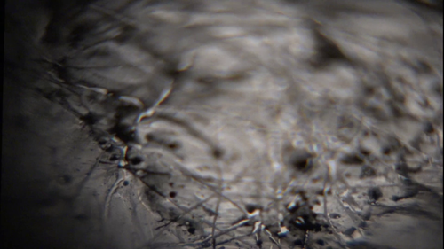vlcsnap 2025 06 20 10h03m49s793.png