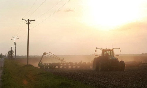 farm1.jpg