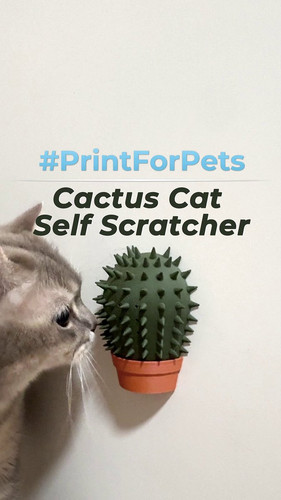 T104Bxz Kr FO3bk.jpg