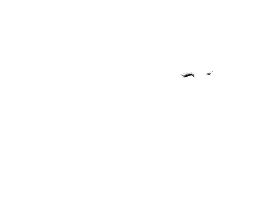 mix glitter lioness.png