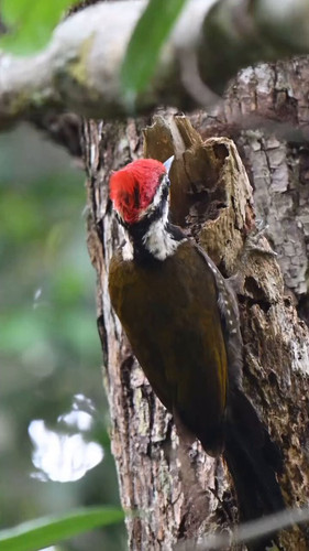 5EBBDzdY7K fHnJo.jpg