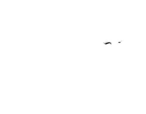 silver glitter lioness.png