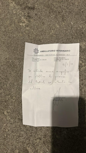 WhatsApp Image 2025 06 10 at 10.31.05 PM.jpg