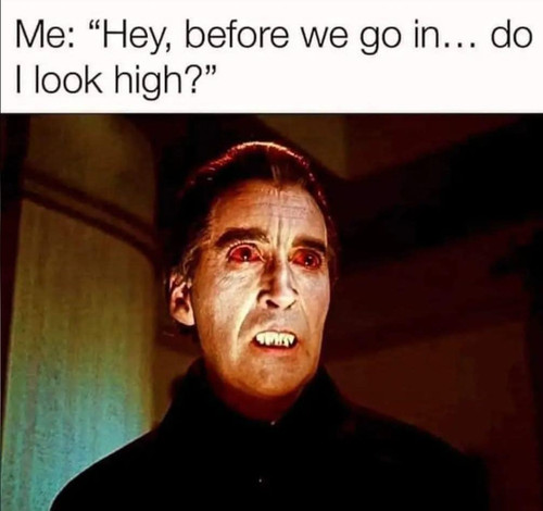 500269452 744672581462412 1644740355313317682 n.jpg