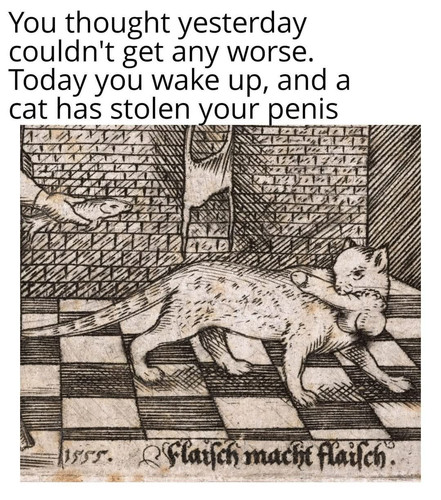 494527624 686568254321306 8103145273876840409 n.jpg