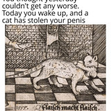 494527624 686568254321306 8103145273876840409 n