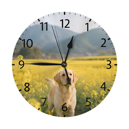 697667059 白色 效果图1.jpg