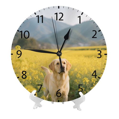 697667059 白色 效果图2.jpg