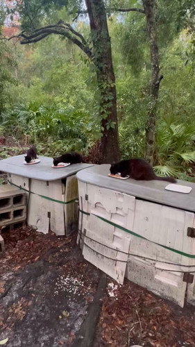 K3 rYTDLI6q22yOW.jpg